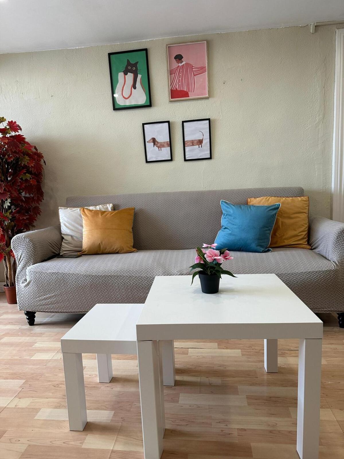 Apartamento Piso Centrico Con Terraza *